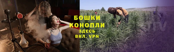 дурь Белокуриха
