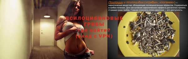 МДМА Богданович