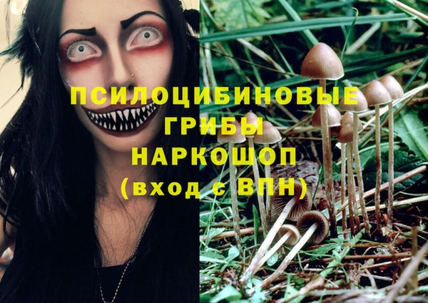 таблы Богородск
