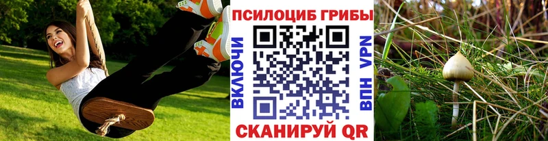 Псилоцибиновые грибы мухоморы  что такое   Бокситогорск 